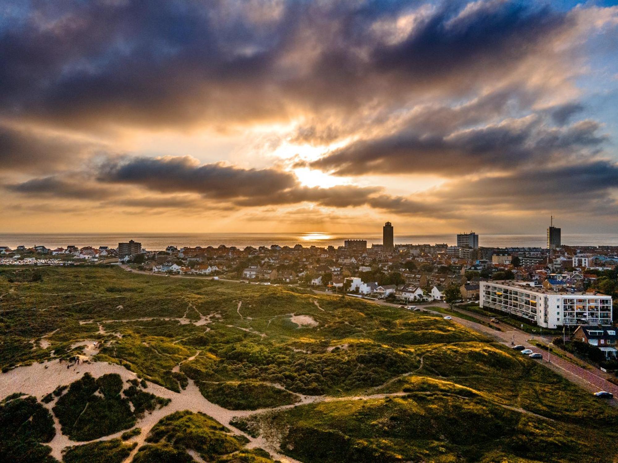 Flamingo * Zandvoort
