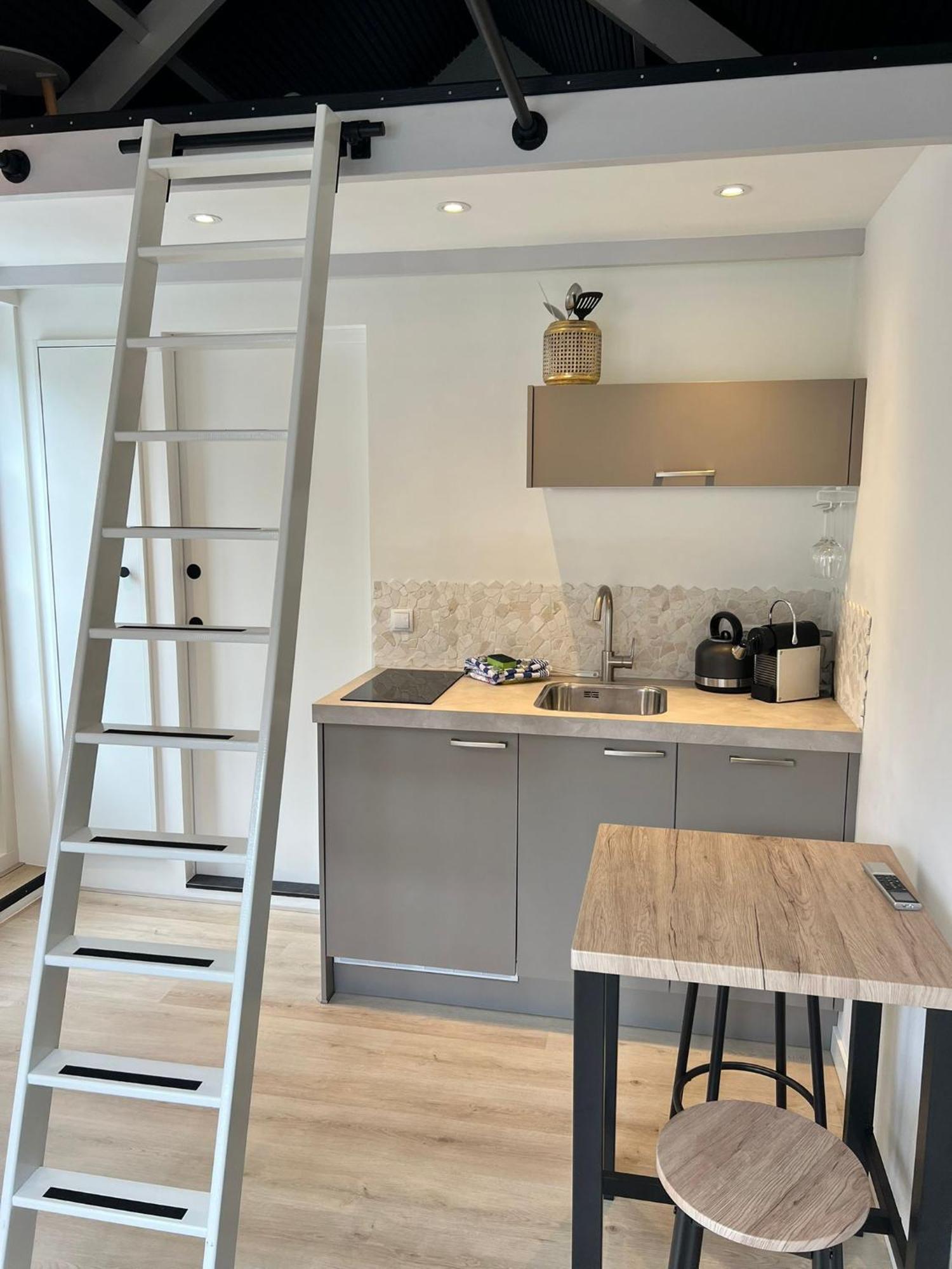 Appartement Flamingo *