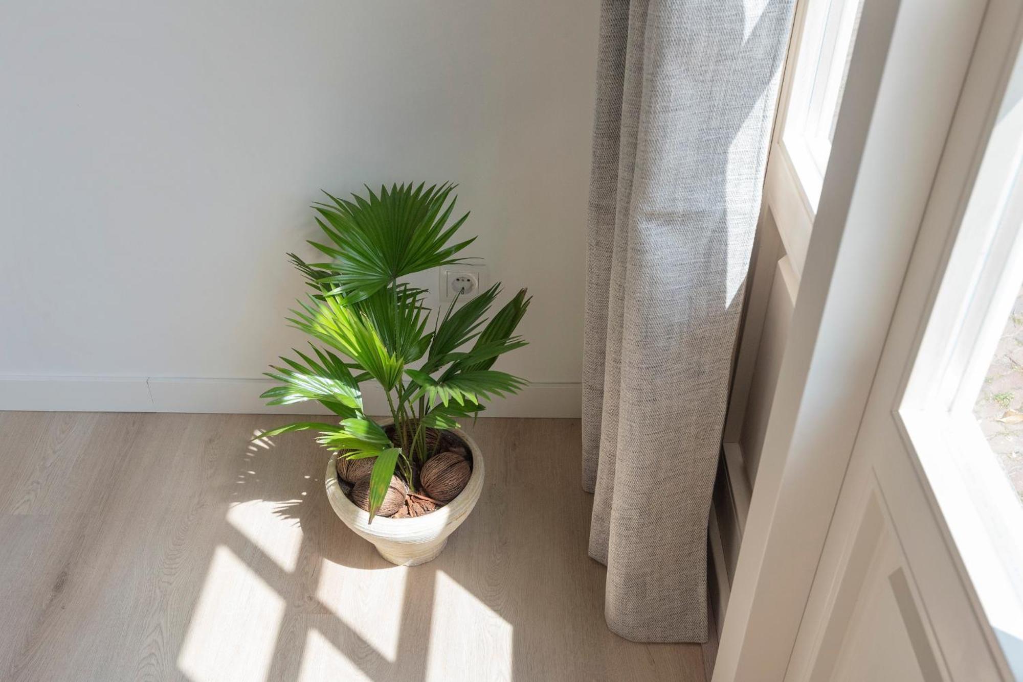 Appartement Flamingo Zandvoort