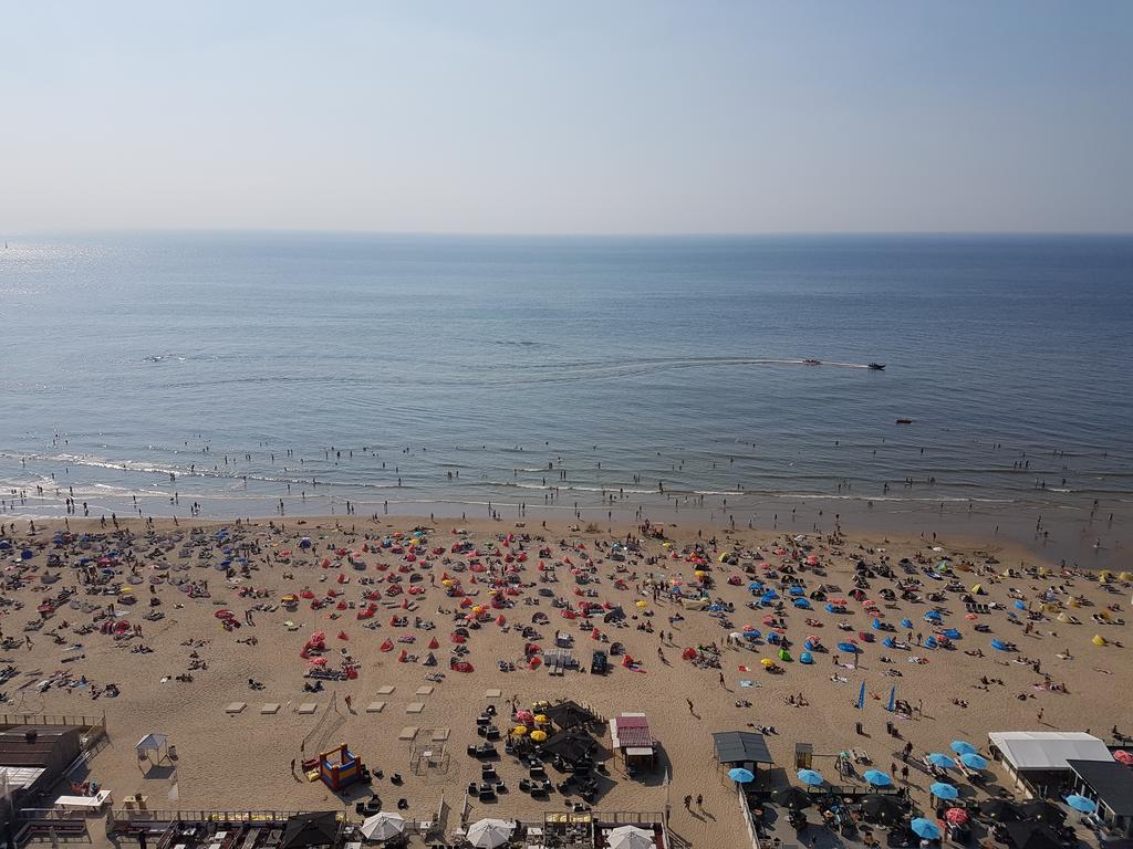 Flamingo Zandvoort